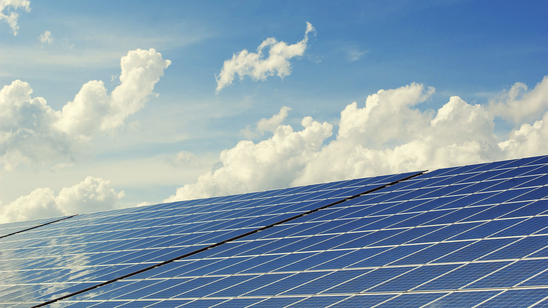 Solar panels at a solar farm