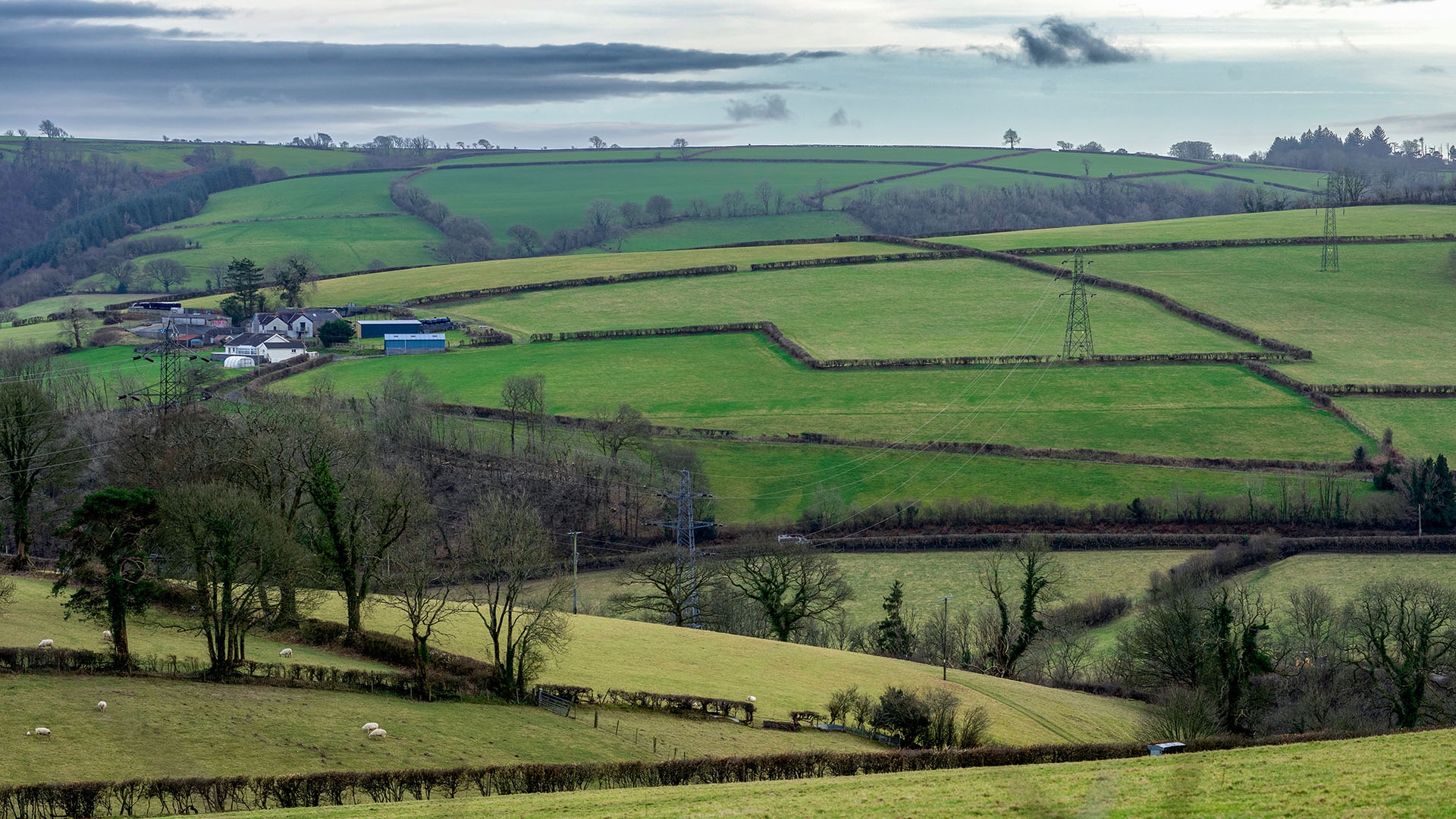 Farm land with energy pylons in fields