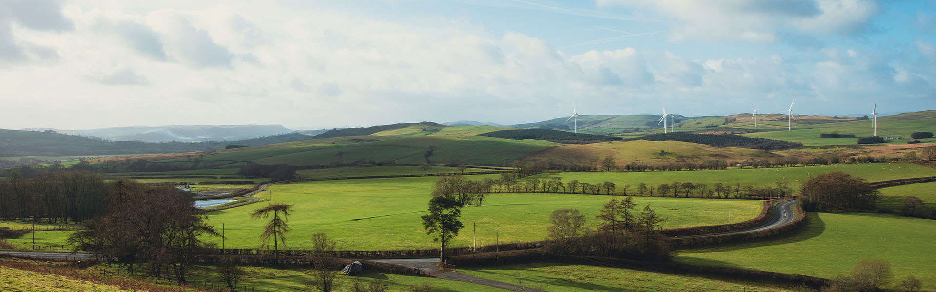 Landscape image of a wind farm.